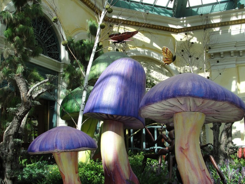 Bellagio - Conservatory Display 3